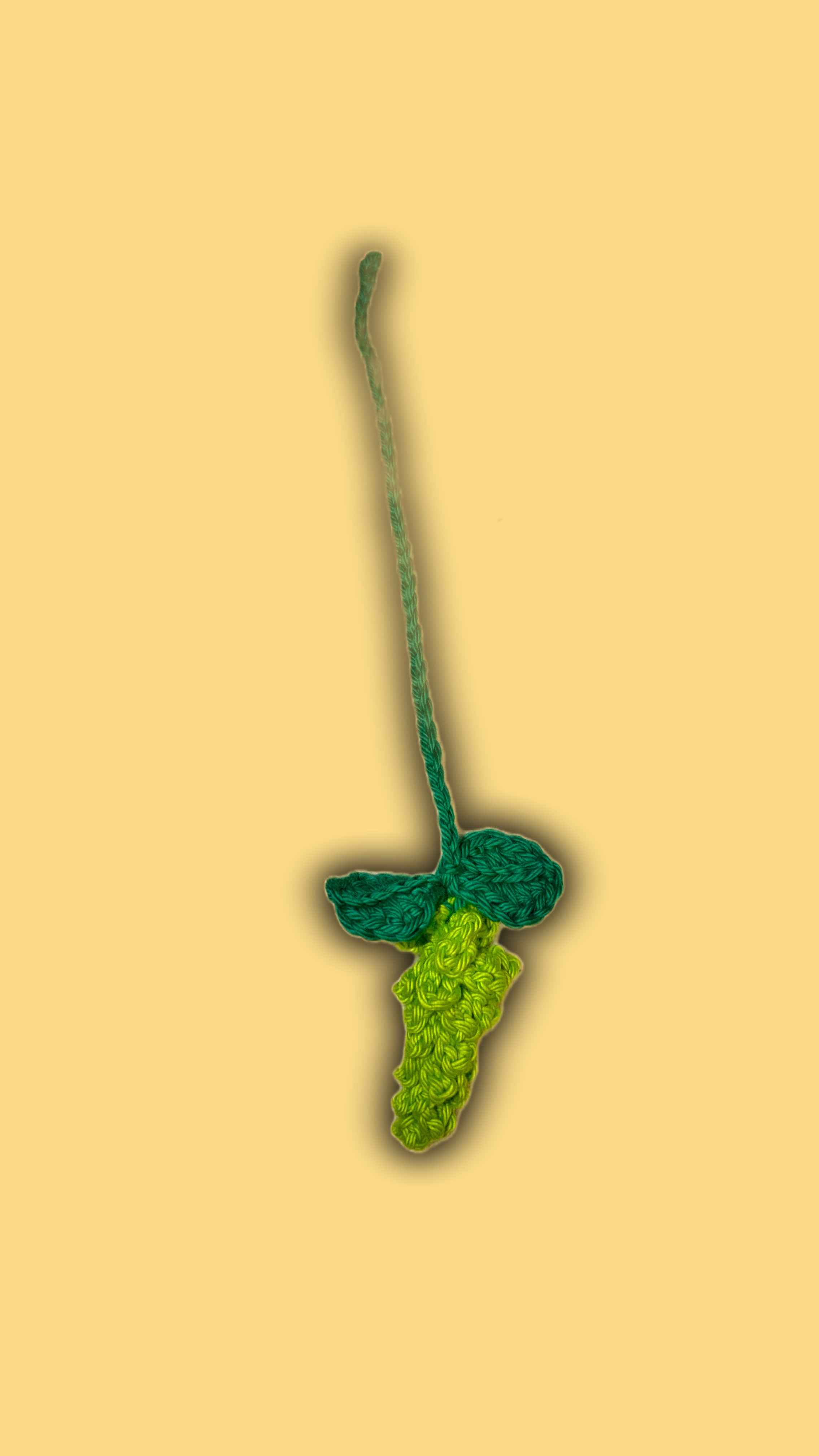 Crochet Bookmark