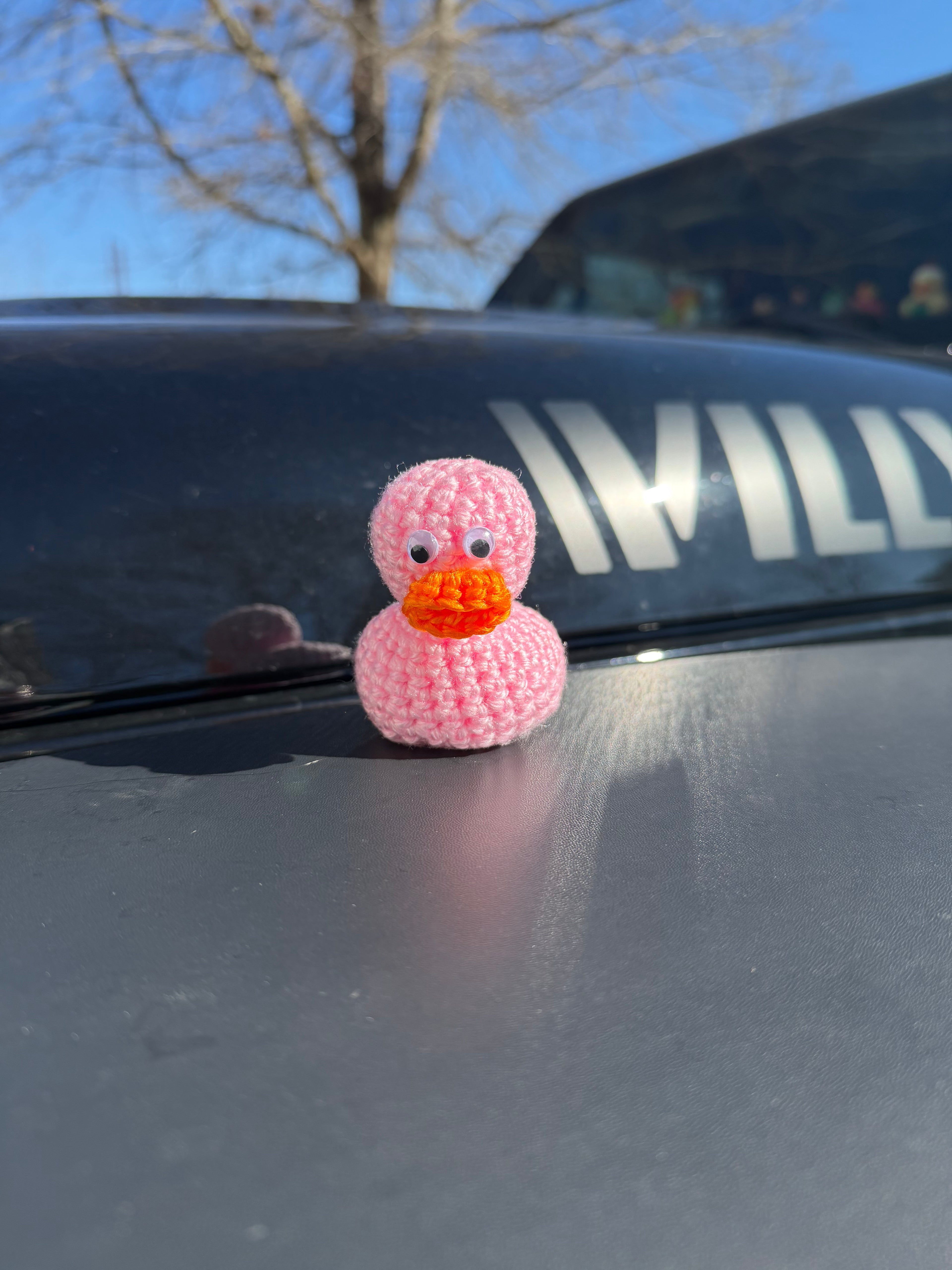 Crochet “Rubber” Duck