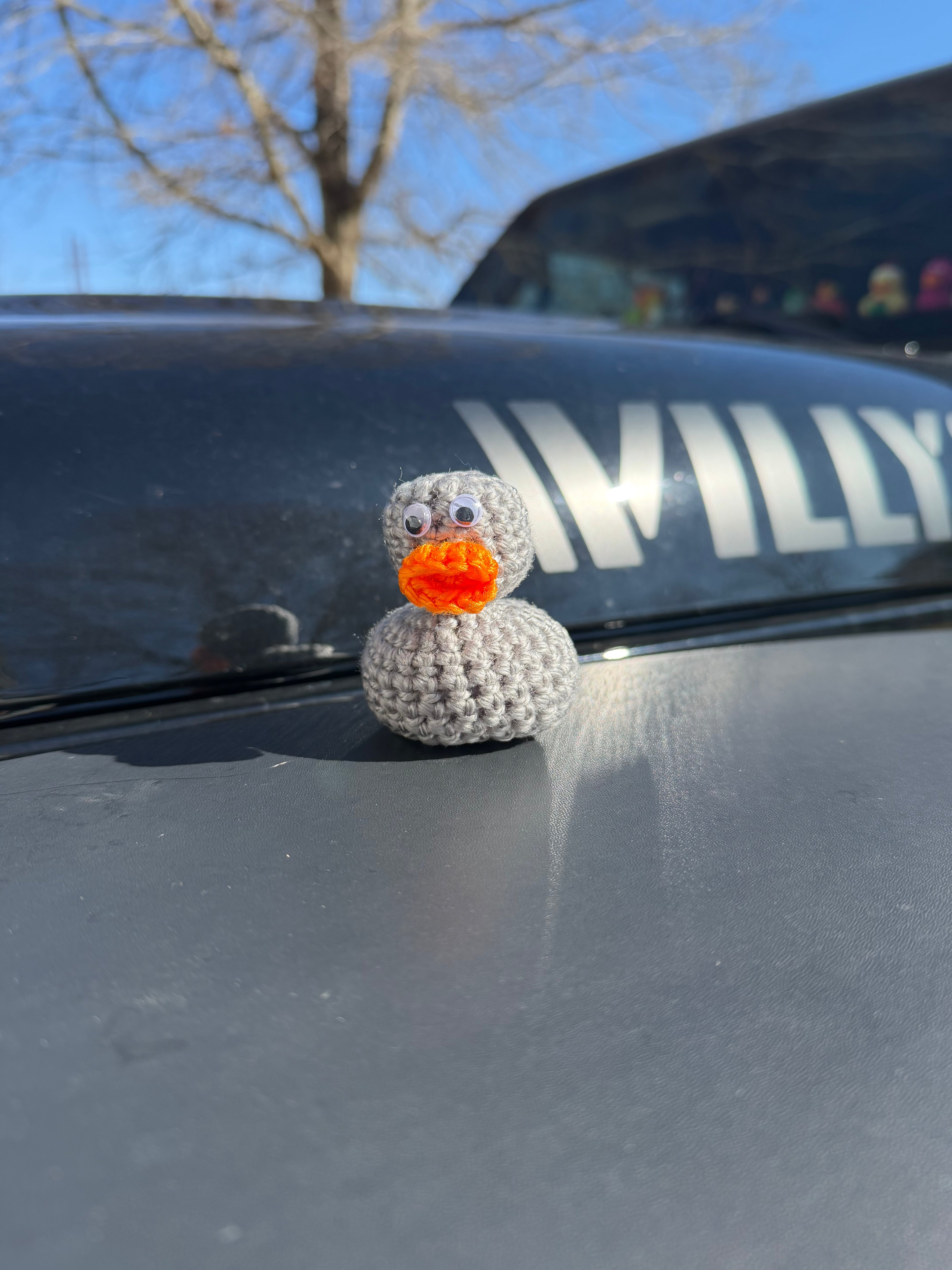 Crochet “Rubber” Duck