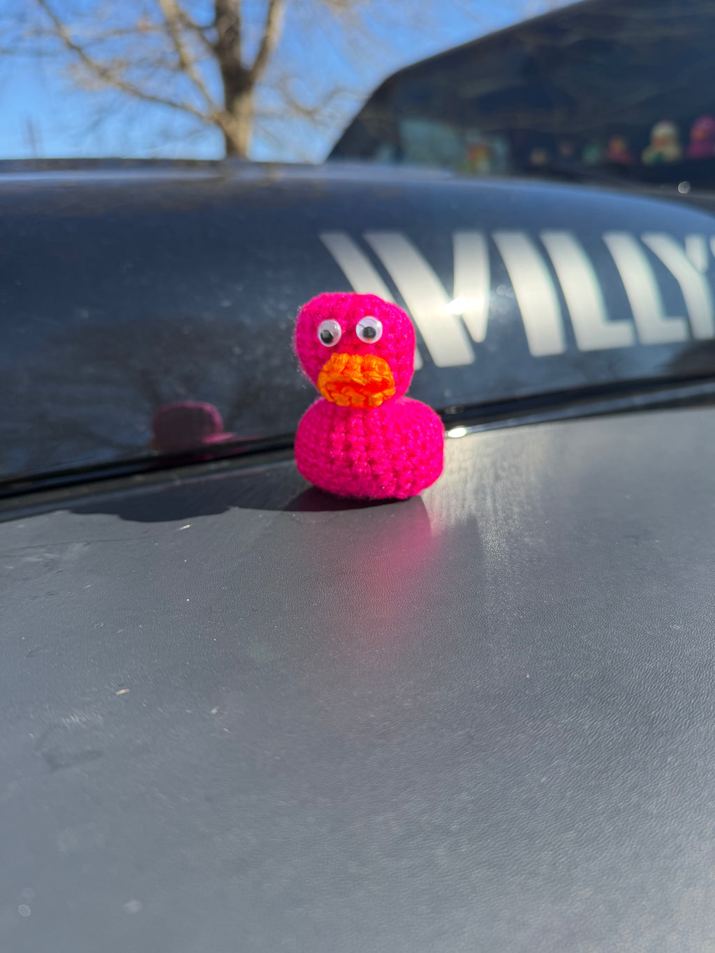Crochet “Rubber” Duck